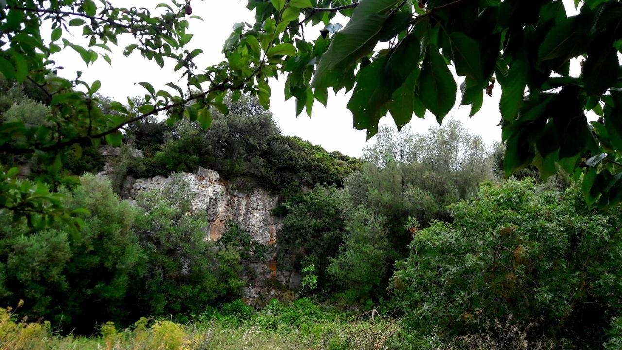 Posta Santa Croce Villa Bisceglie Exterior foto